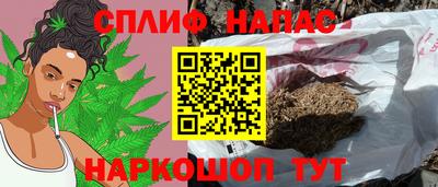 СК Будённовск