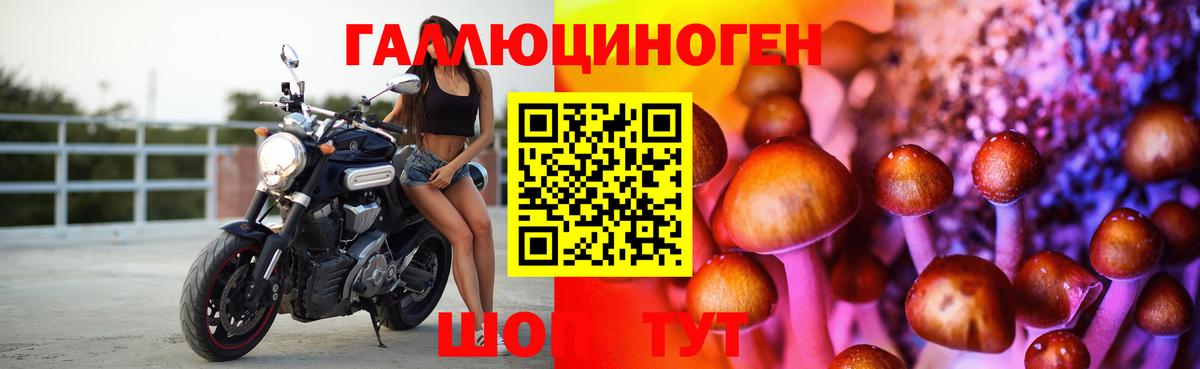 Муравленко  Псилоцибиновые грибы Psilocybine cubensis  Вход с VPN 